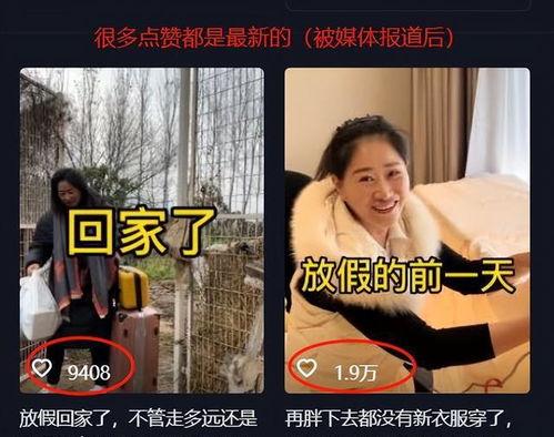 安静保姆爆料视频,揭秘安静家庭背后的秘密 第1张 安静保姆爆料视频,揭秘安静家庭背后的秘密 第1张